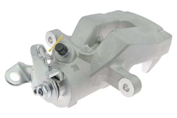 Jarrusatula - CZH1303