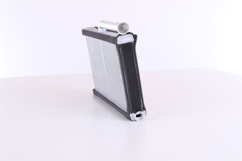 Siltummainis, Salona apsilde - 70233