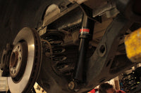 Pedders Heavy Duty Rear Suspension Kit. Fiat Scudo, 2021 on. KO - 803623