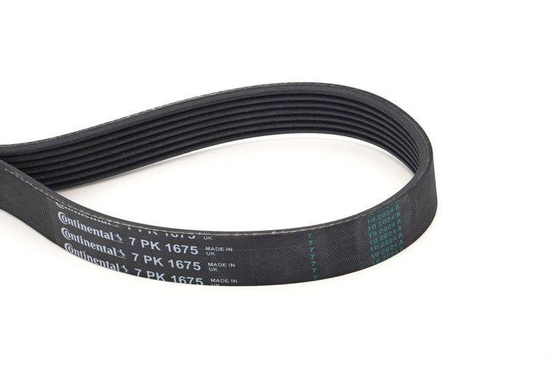 Celiņu siksna - 7PK1675