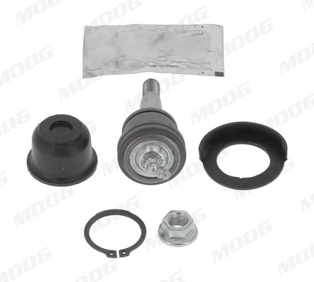 Pallonivel - CH-BJ-17291