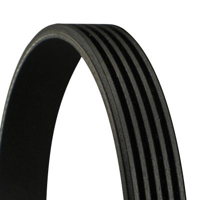 Celiņu siksna - 5PK1570