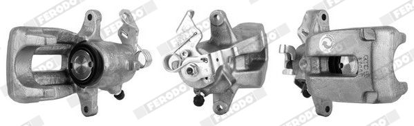 Jarrusatula - FCL694449