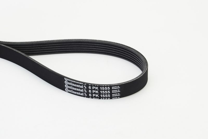 Celiņu siksna - 6PK1555