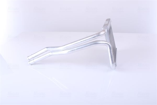 Siltummainis, Salona apsilde - 77649