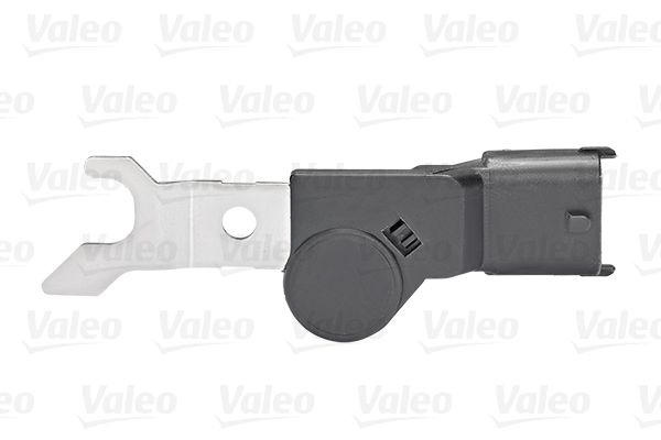 Sadales vārpstas pozīcijas devējs - 253845