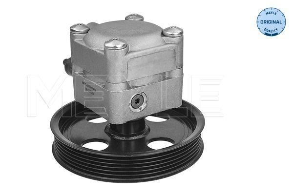 Hydrauliikkapumppu, ohjaus - 514 631 0015