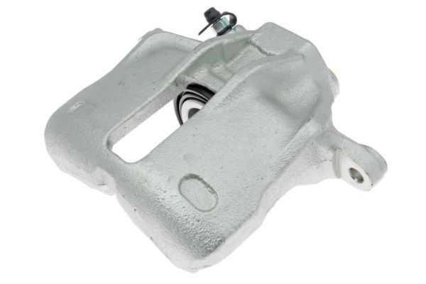 Jarrusatula - CZH1186