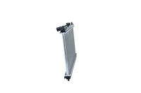 Motora dzesēsanas radiators - 53977