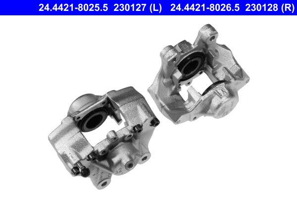 Jarrusatula - 24.4421-8026.5