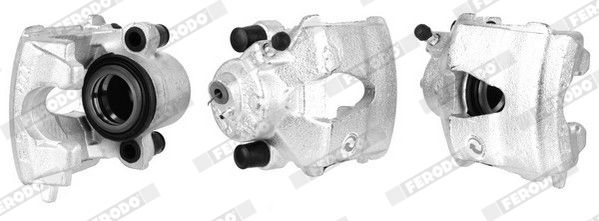 Jarrusatula - FCL694071