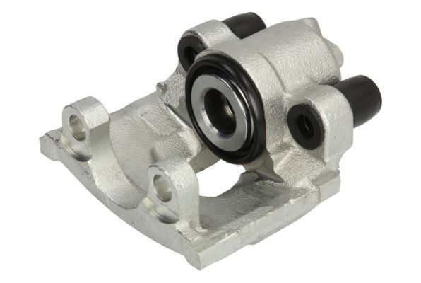 Jarrusatula - CZH1460