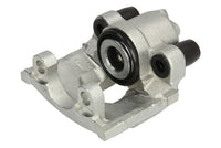 Jarrusatula - CZH1460