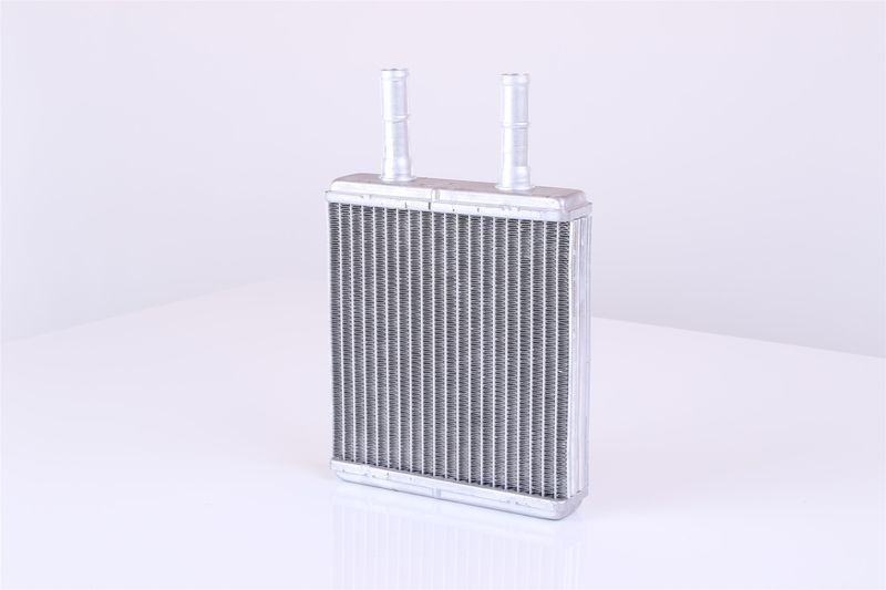 Siltummainis, Salona apsilde - 77613