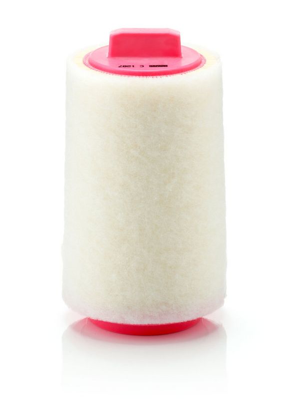 Ilmansuodatin - C 1287