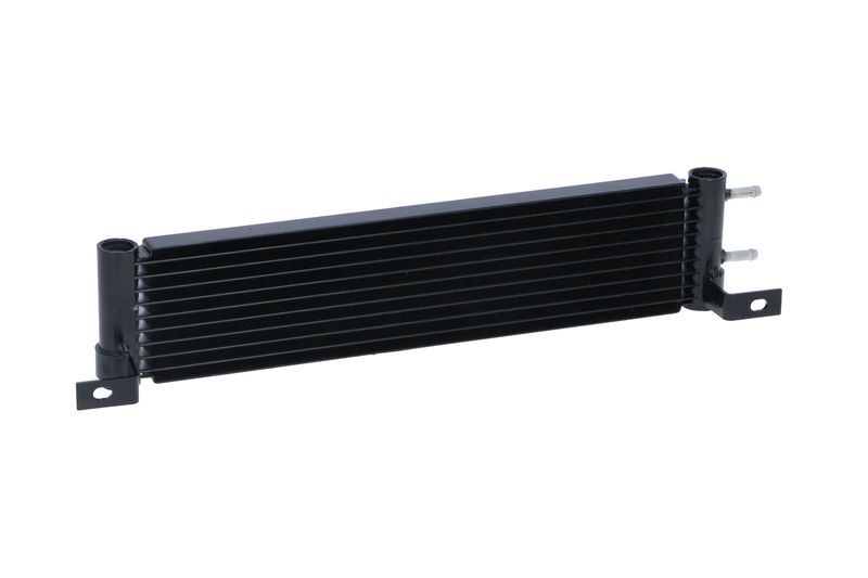 Eļļas radiators, Motoreļļa - 31359