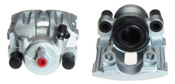 Jarrusatula - 343735