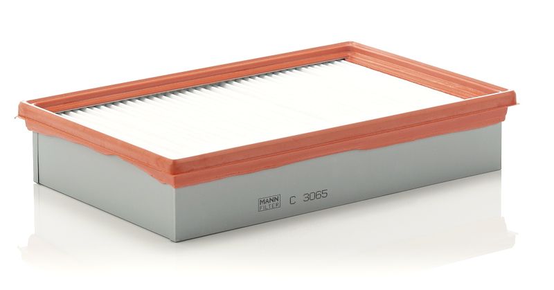 Ilmansuodatin - C 3065