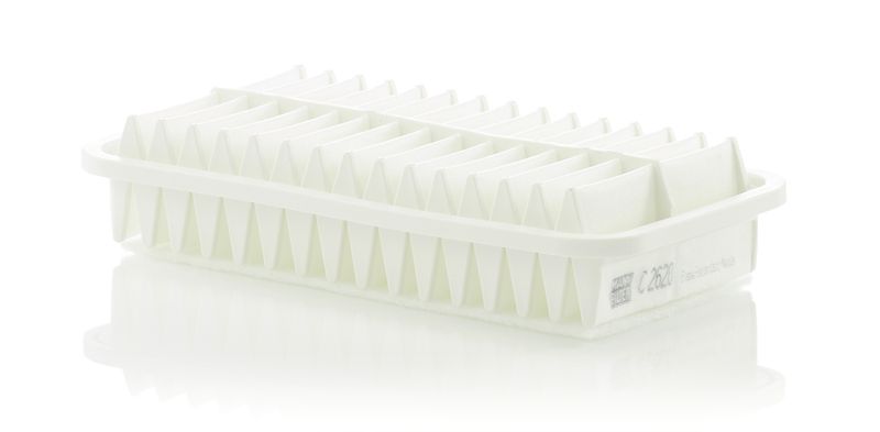 Ilmansuodatin - C 2620