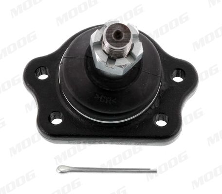 Pallonivel - NI-BJ-13774