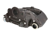 Jarrusatula - TEQ-BC.001