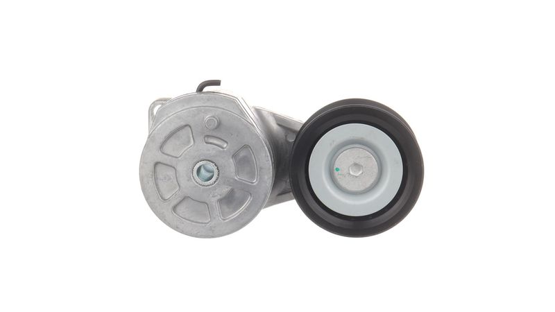 Hihnankiristin, moniurahihna - VKMCV 56005