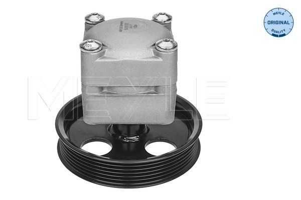 Hydrauliikkapumppu, ohjaus - 514 631 0013