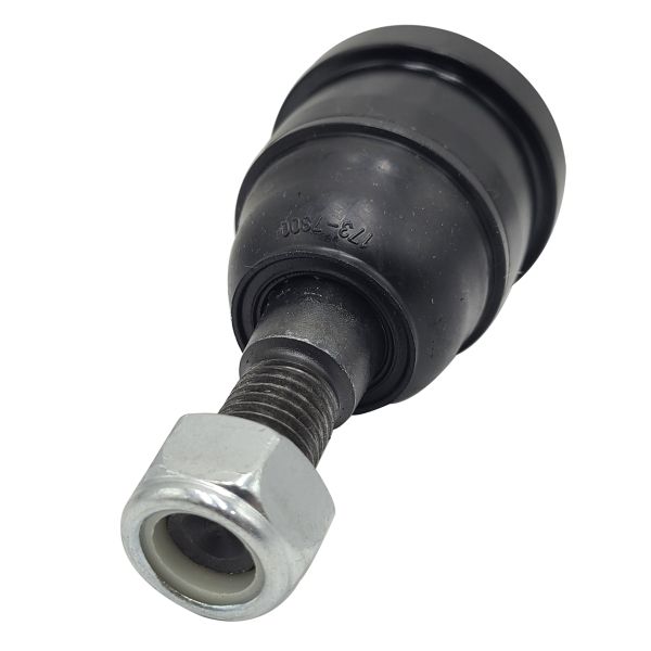 Kīļsiksna - CB0037