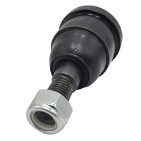 Kīļsiksna - CB0037