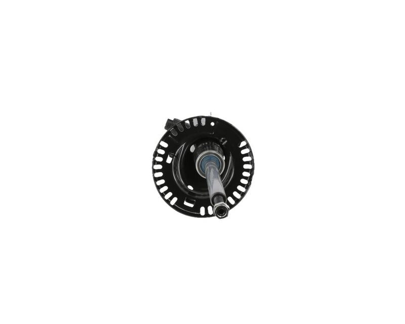 Amortizators - C2518L