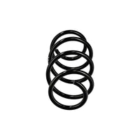Balstiekārtas atspere - R14668