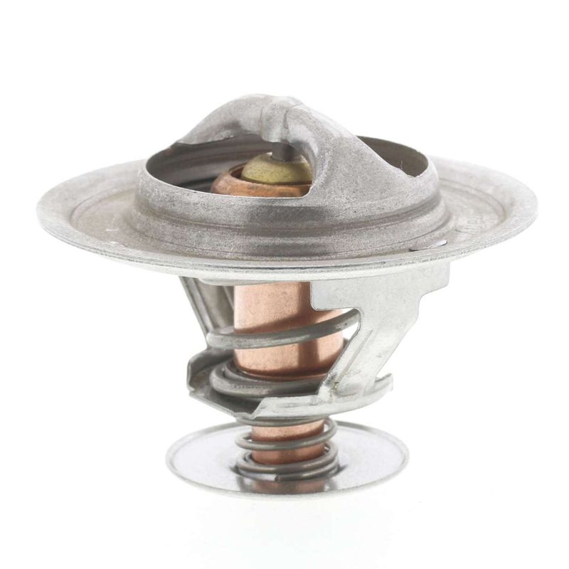 Termostaatti, jäähdytysneste - 246-79K