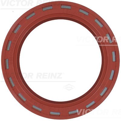 Sadales vārpstas blīvslēgs - 81-24909-10