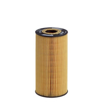 Eļļas filtrs - E12H D53