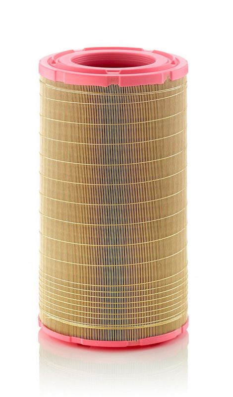 Gaisa filtrs - C 2490
