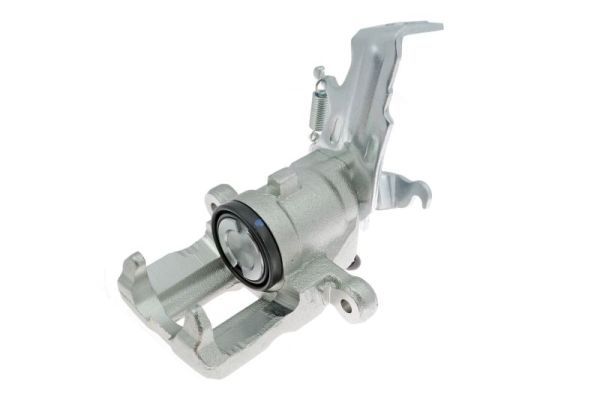 Jarrusatula - CZH1256
