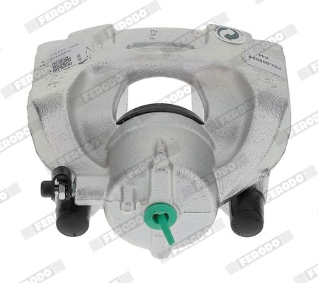Jarrusatula - FCL695054