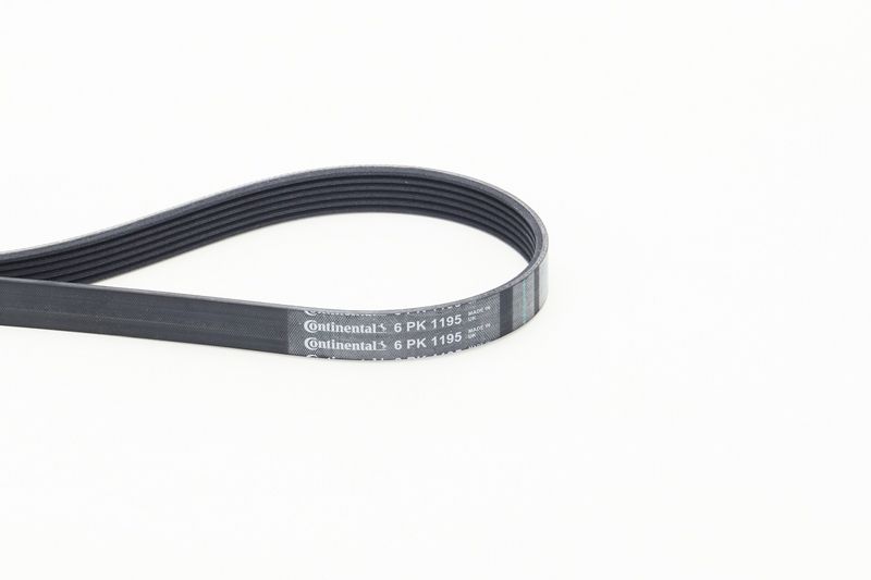 Celiņu siksna - 6PK1195