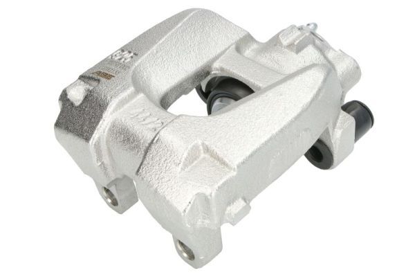 Jarrusatula - CZH2155