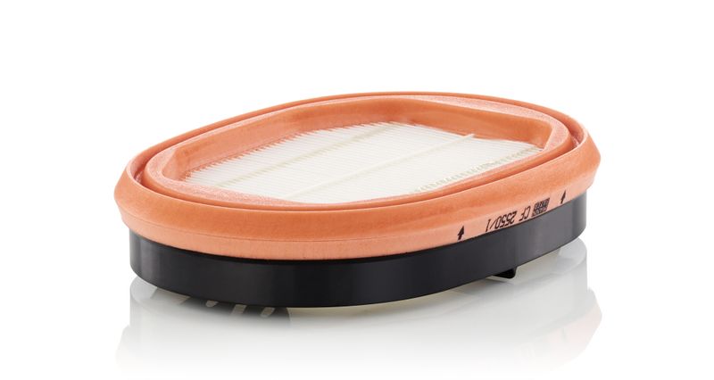 Toisioilmasuodatin - CF 2550/1