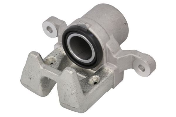 Jarrusatula - CZH2383