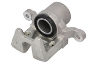 Jarrusatula - CZH2383