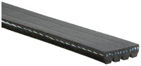 Moniurahihna - 4PK1070HD