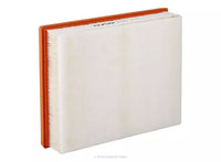 Air Filter - A1943