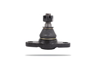 Pedders Ball Joint - PBJ231