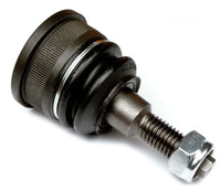 Pedders Ball Joint - Oversized - PBJ426OS