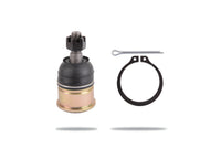 Pedders Ball Joint - PBJ556