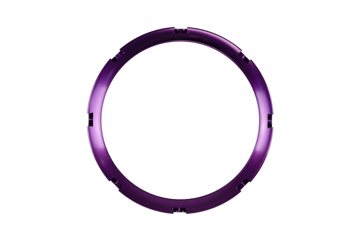 BOV PowerPort Collar Purple - TS-0207-3014