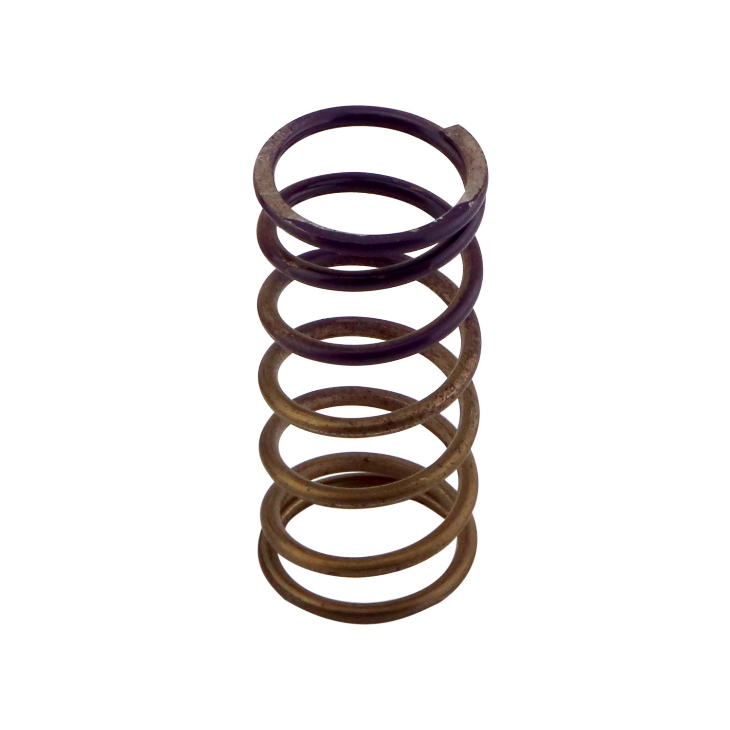 Gen-V WG60 5psi Purple Inner Spring - TS-0550-3090