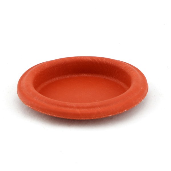 IWG75 Diaphragm Replacement - TS-0600-2001
